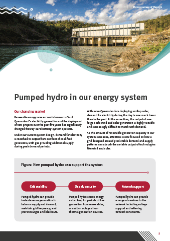 Pumped hydro in our energy system